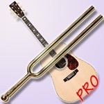 i Diapason Pro - i Guitar Pro - Tune your instrument by ear with a tuning fork or a guitar