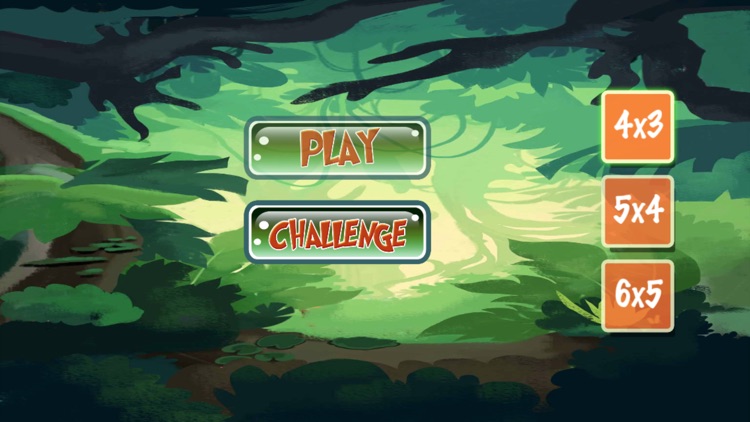 Animal Matching Advance