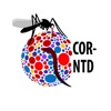 COR-NTD Meeting