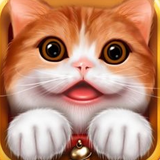 A Funny  Cat: Play with the little Animal icon