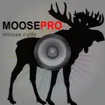 Moose Hunting Calls-Moose Call-Moose Calls-Moose App Positive Reviews