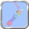 New Zealand Puzzle Map