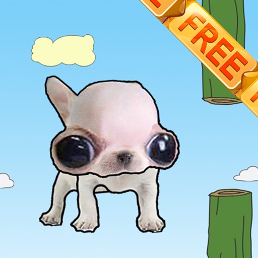 Floppy Chihuahua iOS App