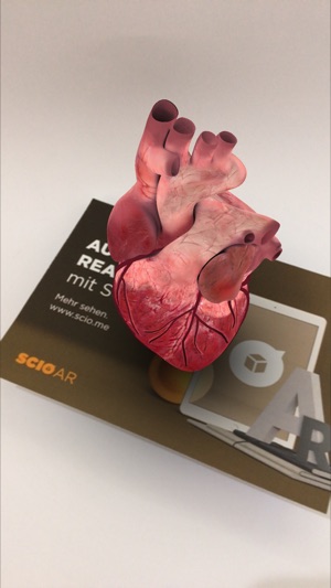 SCIO AR(圖4)-速報App