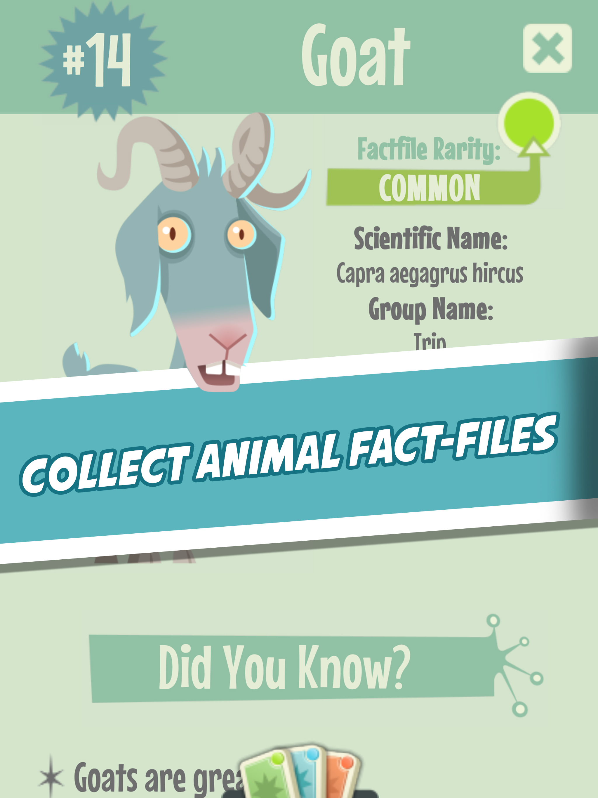 Quiz Owl's - Animal Trivia