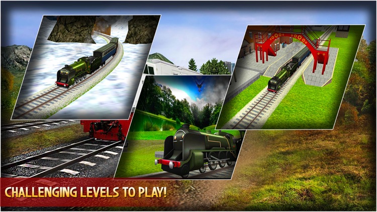 Hill Climb Train Simulator Pro screenshot-4