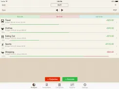 My Budgets iPad image 1
