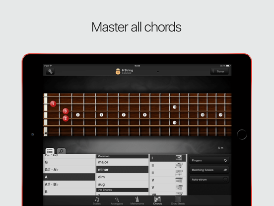 GuitarToolkit - tuner, metronome, chords & scales