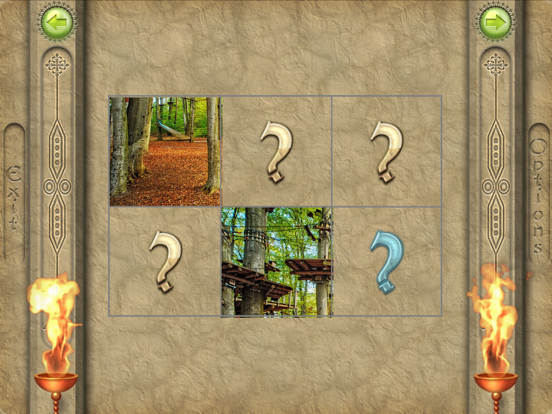 Screenshot #5 pour FlipPix Jigsaw - Up