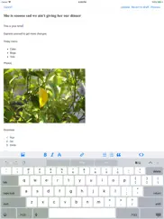 app for blogger blogspot ipad capturas de pantalla 1