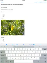 App for Blogger Blogspot ipad bilder 0