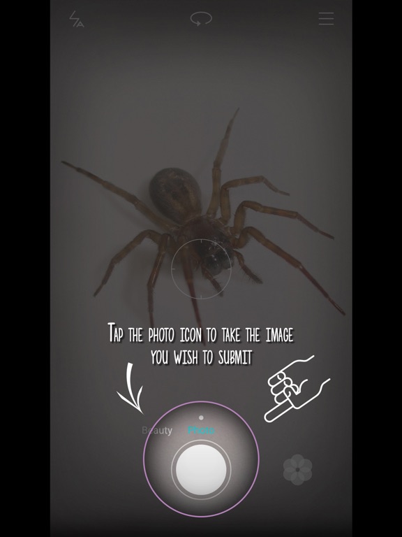 Screenshot #5 pour Whats That??