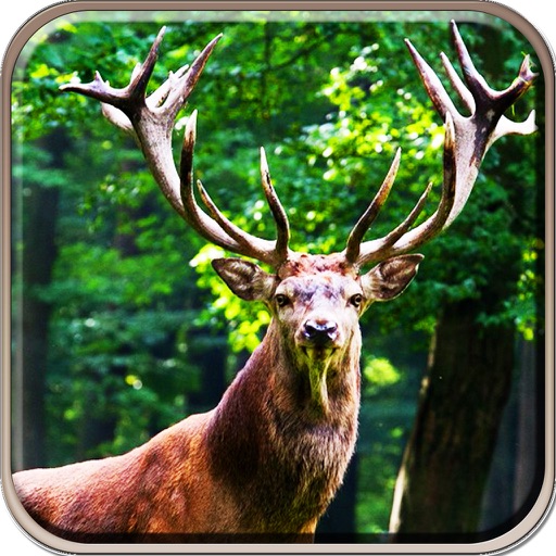 2016 Asian Deer Attack Shooting Pro