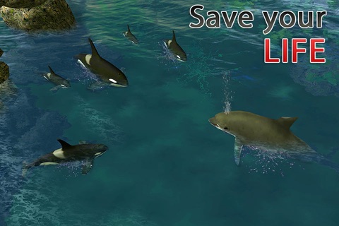 Dolphin Simulator 3D – Underwater Fish Simulation Game screenshot 3