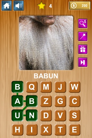 Zoom & Hidden Word - Animals Edition screenshot 4