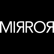 Activities of Escape Game "MIRROR"