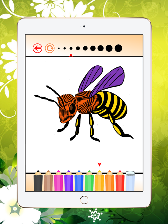 Coloring Book Insect and Arachnid: Learn to paint and color a bee, spider and more iPad screenshot