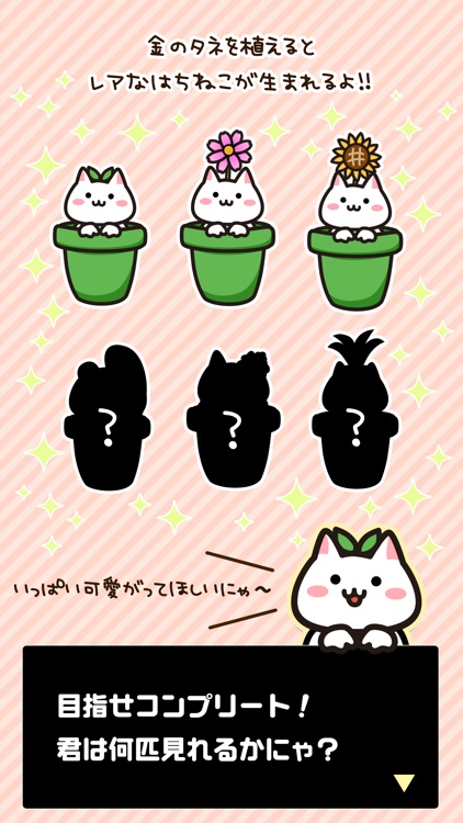 はちねこ　鉢に入った猫を育てよう〜ゆるゆる放置ゲーム screenshot-3