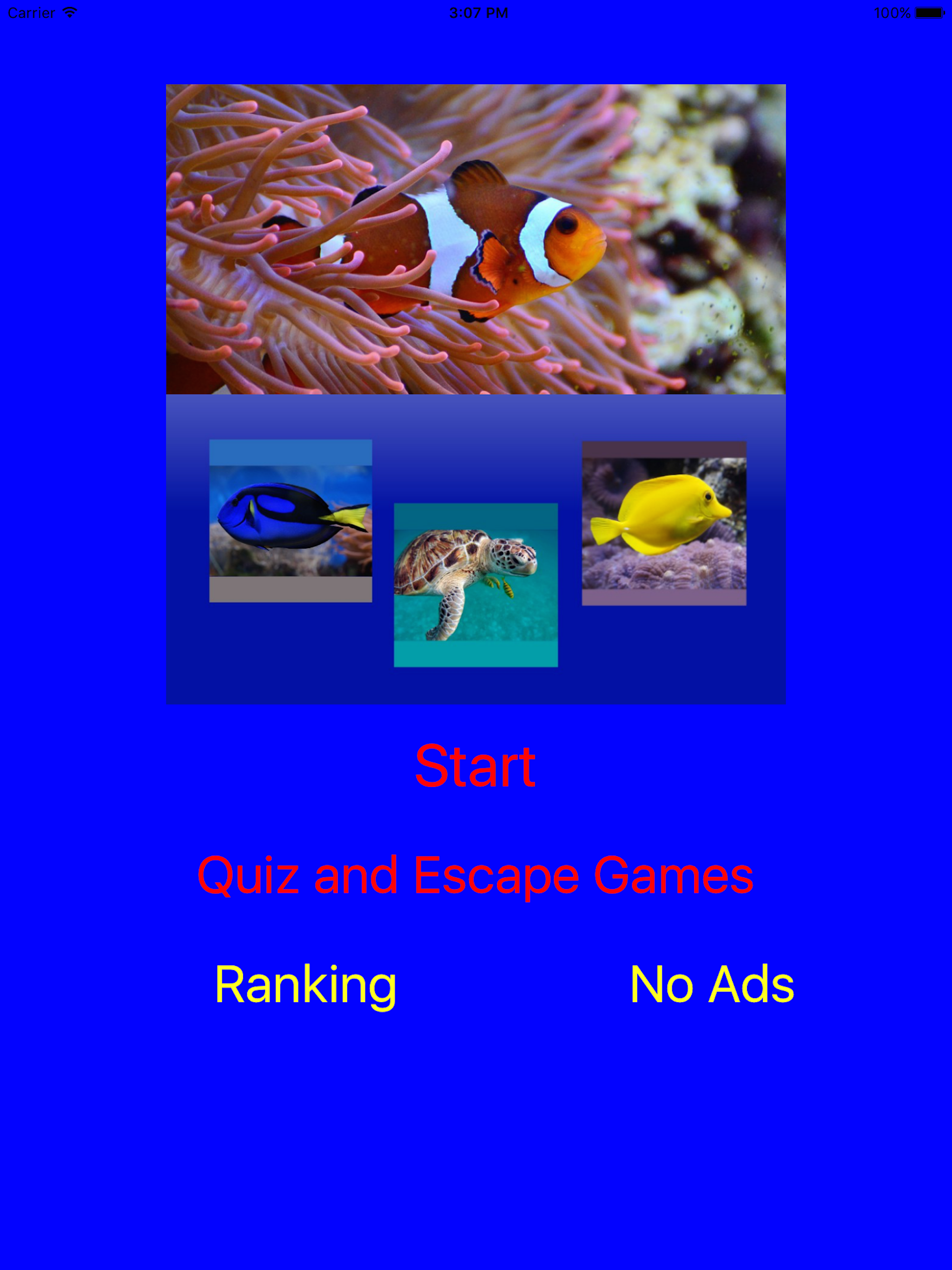 Which Is The Same Fish? for Clownfish and Friends