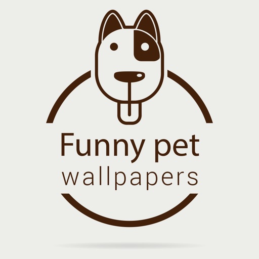 Pet Wallpapers HD - Funny & Cute Pictures of Pets