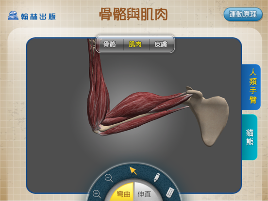 Screenshot #5 pour 3D骨骼與肌肉