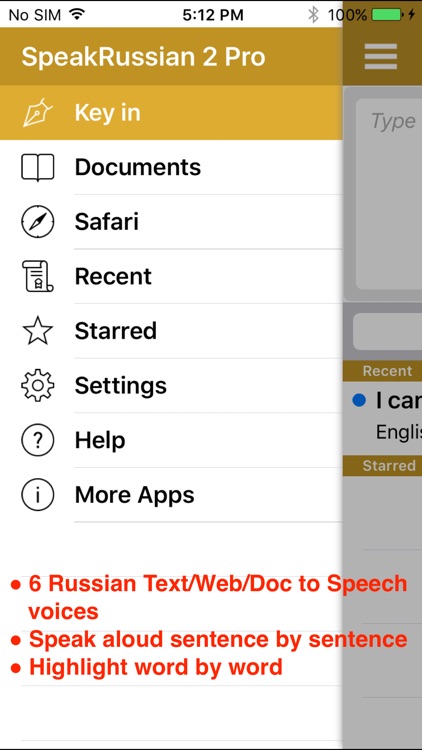 SpeakRussian 2 Pro (6 Russian Text-to-Speech) screenshot-0