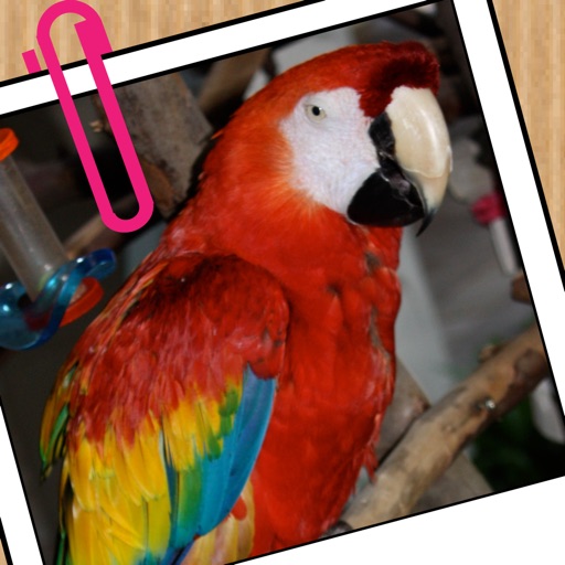 Pasteboard Clipboard manager by Recession Apps LLC