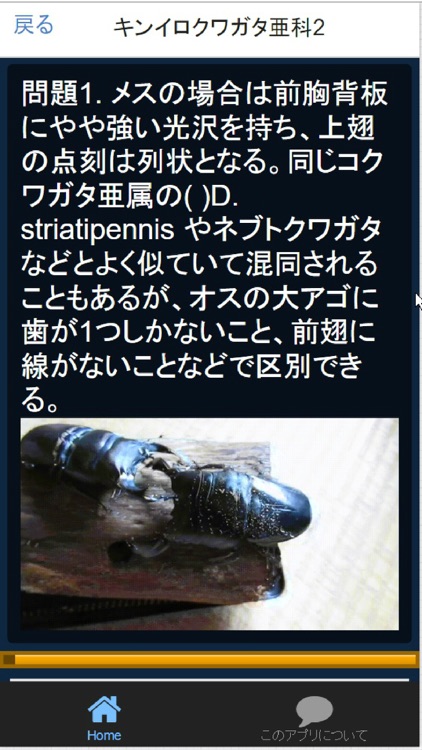 クイズで学ぶ～うごくクワガタ大百科～ screenshot-4