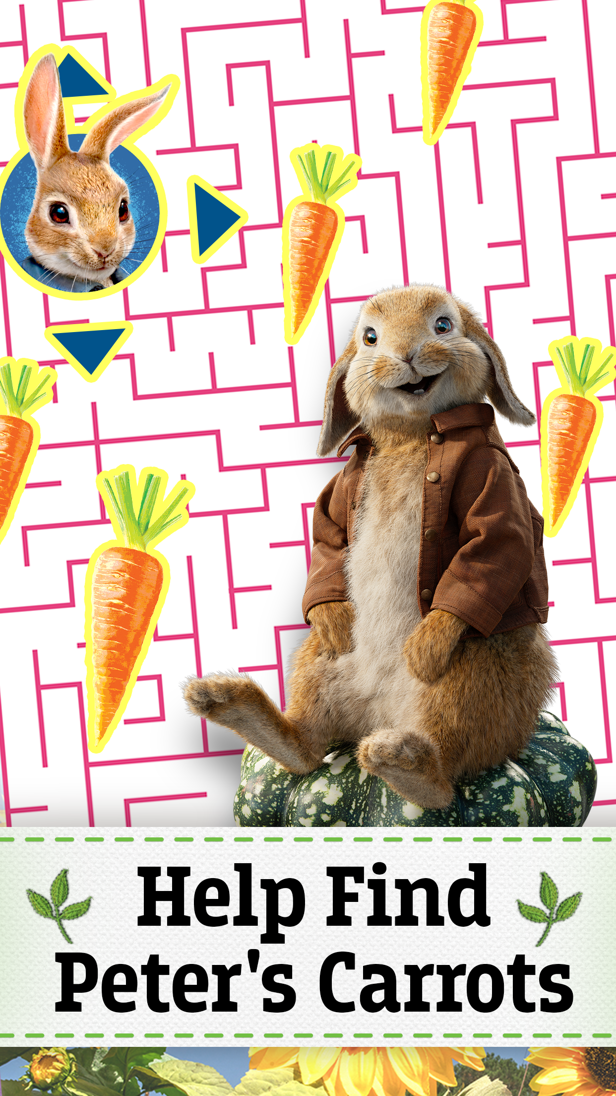 Peter Rabbit Maze Mischief