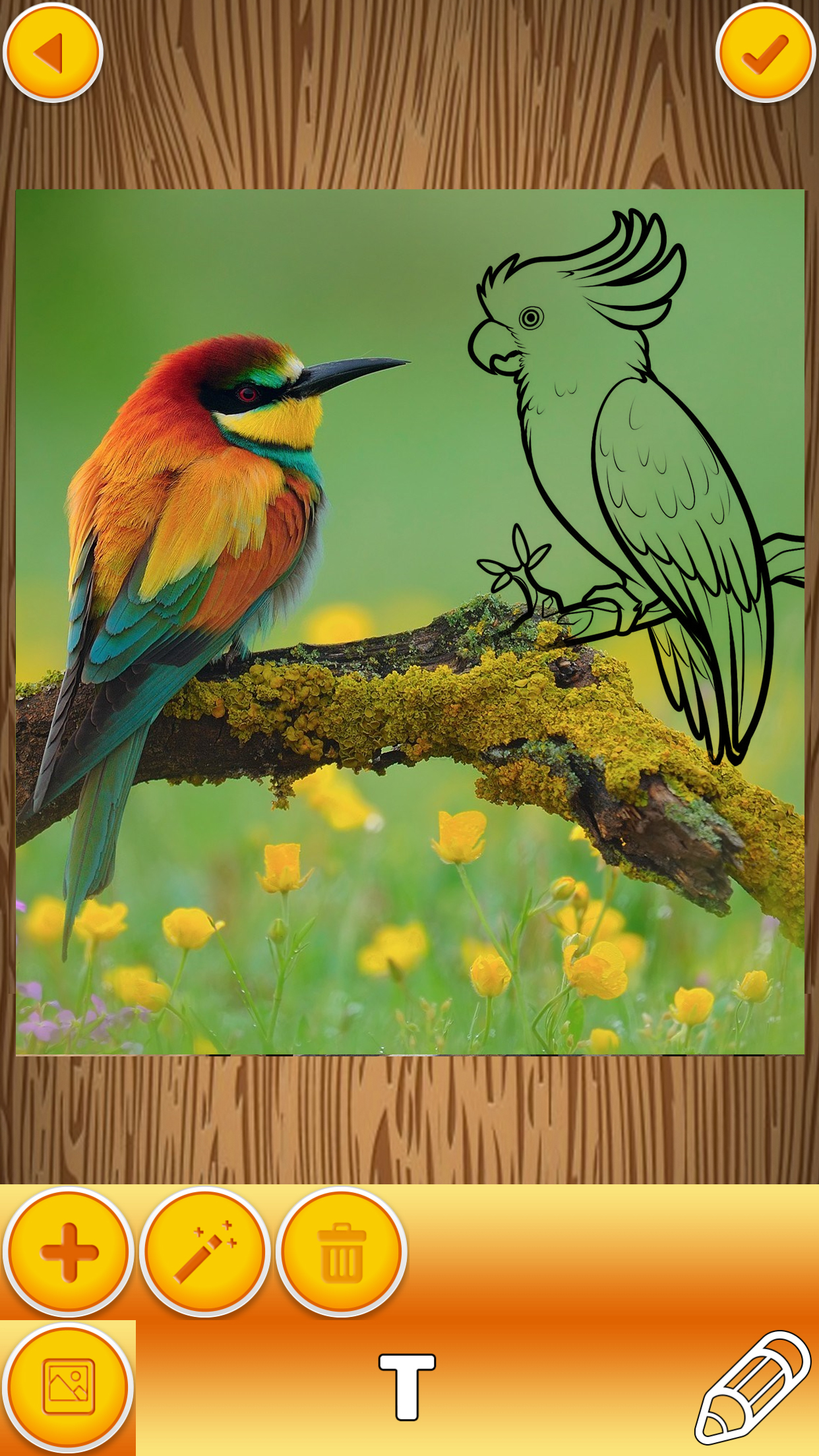 Paint on Pics – Write on Photos to Make your Memes