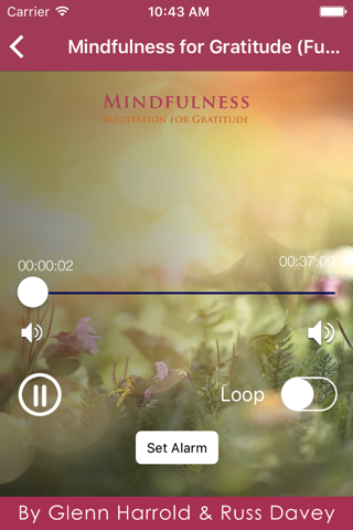 Mindfulness Meditation for Gratitude screenshot 2