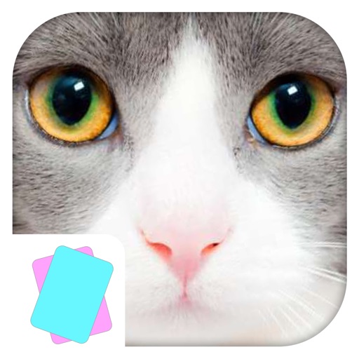 Animals Flashcard & Sounds - Learn the first words iOS App