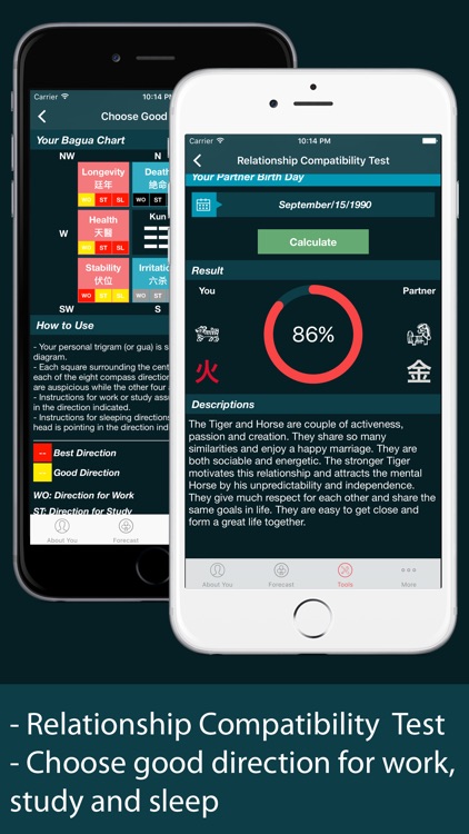 Chinese Horoscope - Daily Feng Shui & Astrological screenshot-3