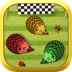 Activities of Animal Run for Toddlers