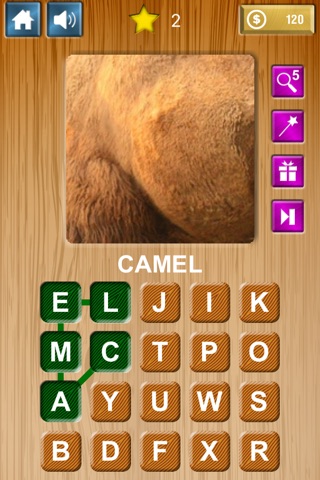 Zoom & Hidden Word - Animals Edition screenshot 2