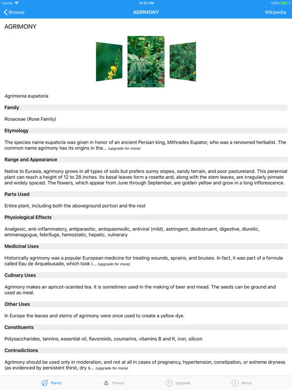 iPlant with Brigitte Mars: A Wild Plant Field Guide screenshot