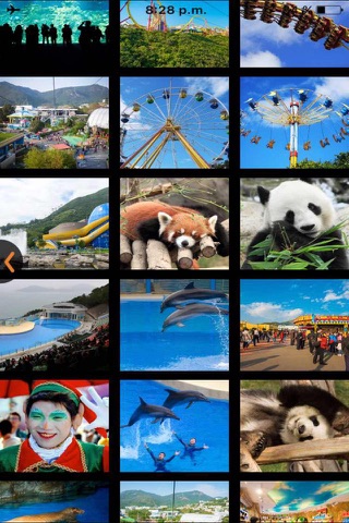 Ocean Park Hong Kong 去玩去癲嚟 screenshot 3