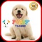 Icon Puppy Training tips and tricks