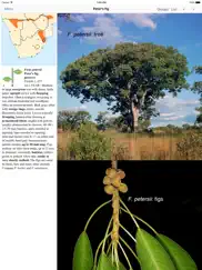 etrees of southern africa ipad images 2