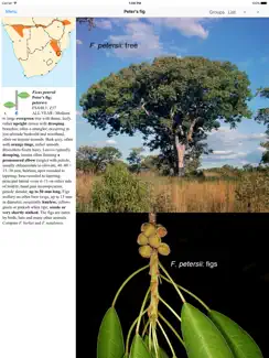 ETrees of Southern Africa iPad image 2