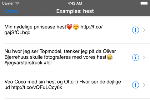 Danish Translator screenshot 4