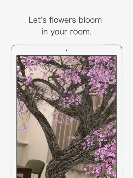 AR Hanami