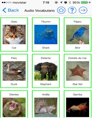 English Segundo de Primaria Level Starters 4 for iPhone screenshot 4