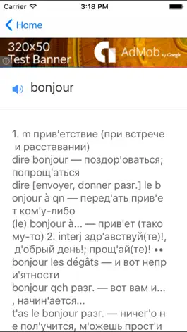 Game screenshot French Russian Dict apk