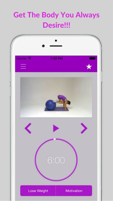 Swiss Ball Exercises Stability Fit Workout Program Screenshot