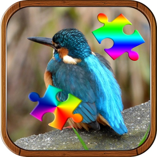 Jigsaws Puzzles Bird Game for adults and Kids Icon