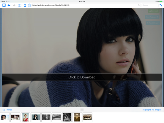 Screenshot #4 pour Photofile - Web image browser et photo downloader