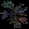 iKinase Universal