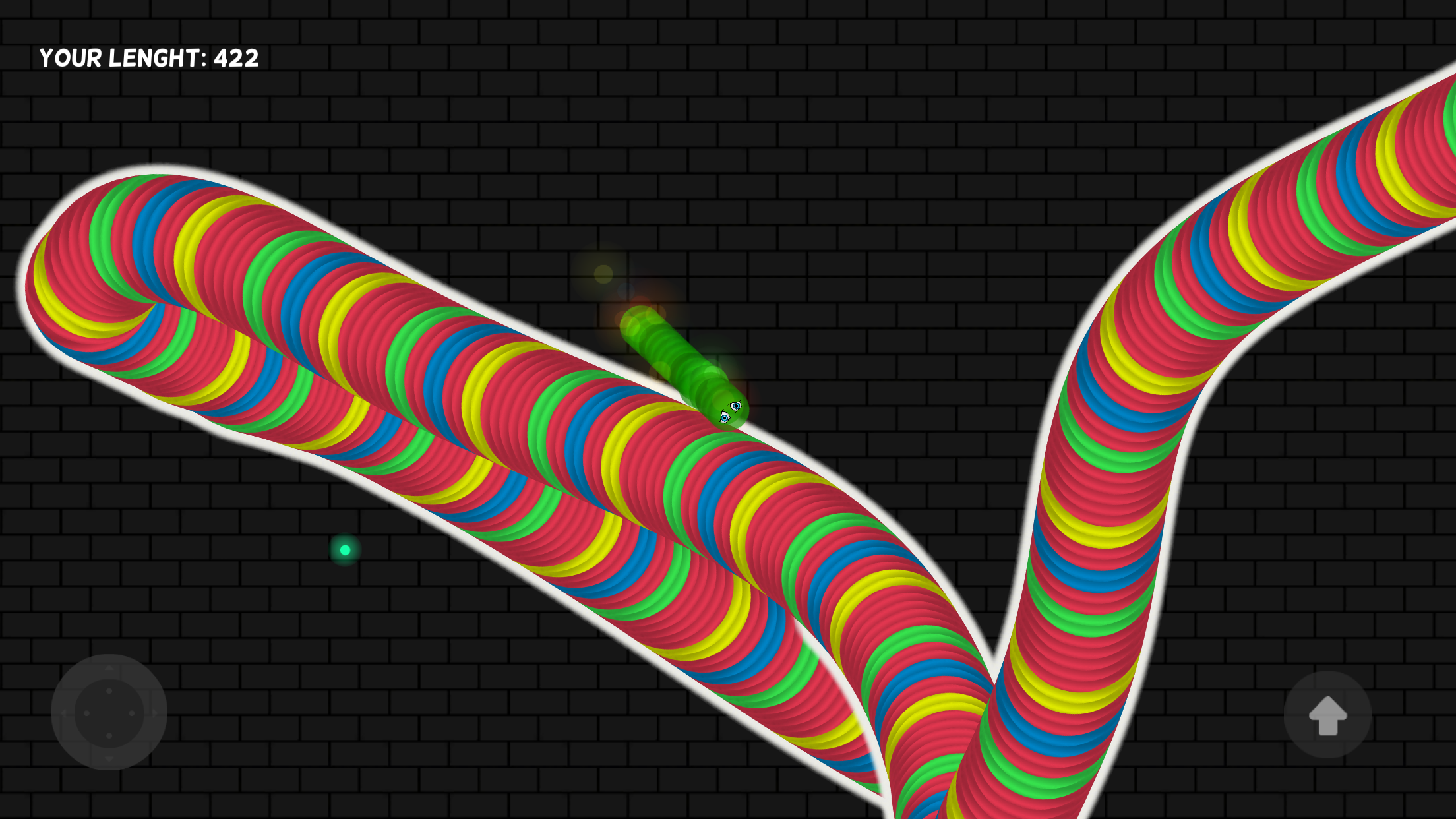 Rolling Anacondas Snake Dash - Eat The Dots