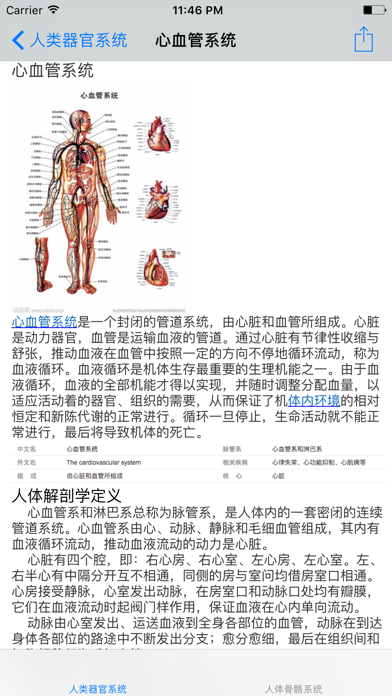 人类器官系统|人体骨骼构造大全